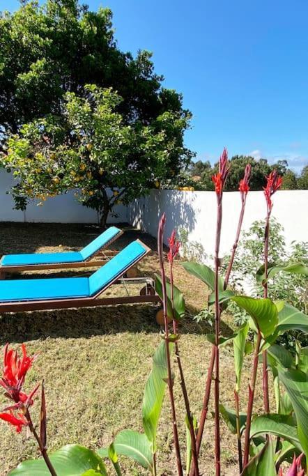Terra Da Lagoa - Villa Near The Beach & Lagoon Nadadouro Exterior foto
